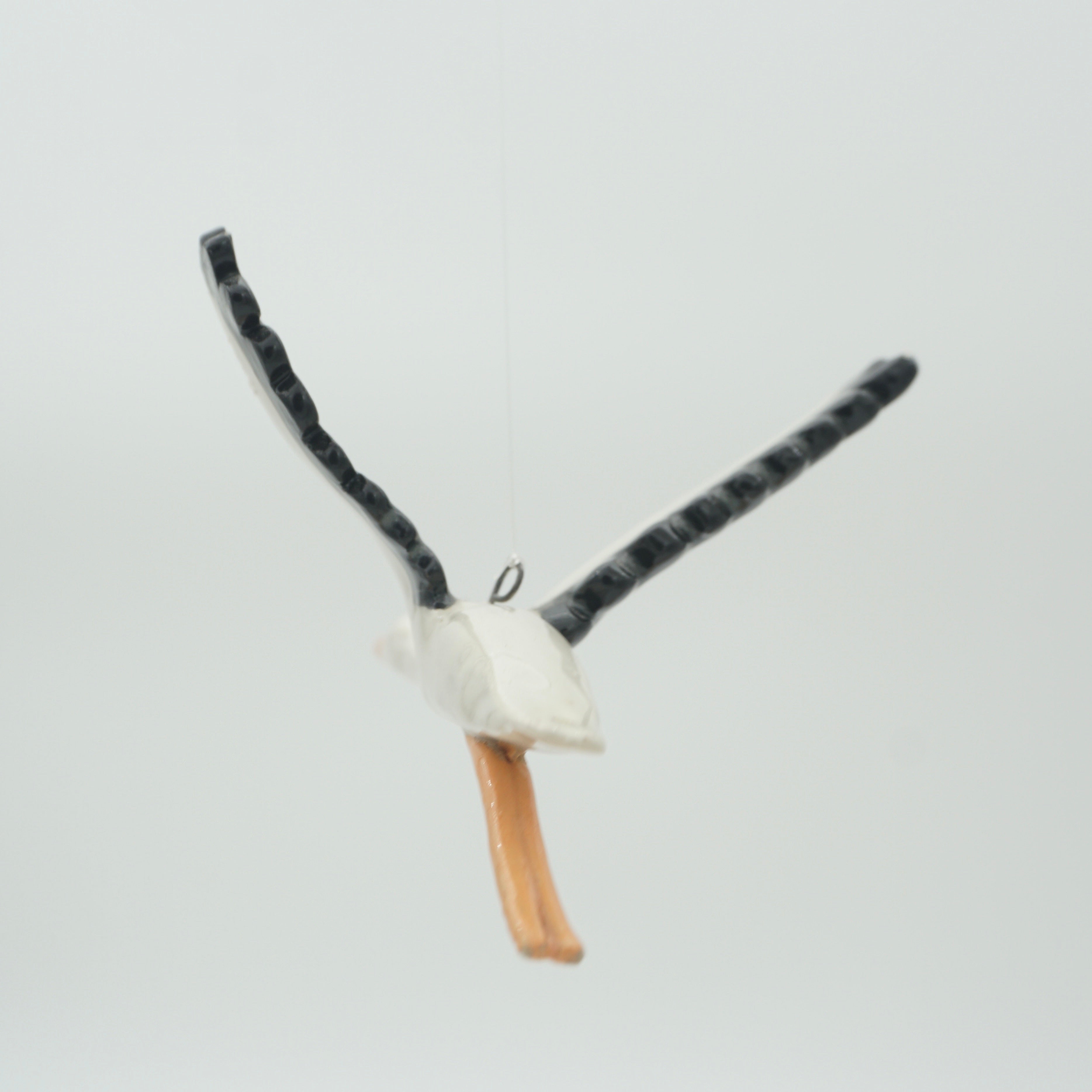 Storch • Störich?