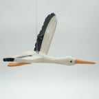 Storch • Störich?