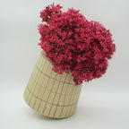 Schaukelvase