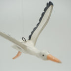 Storch • Störich?