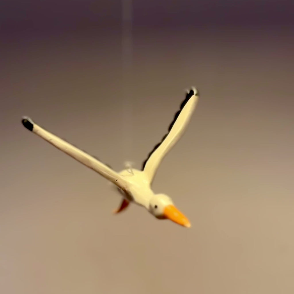 Storch • Störich?